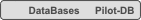 Pilot-DB DataBases